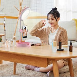 China CE AC Adaptor 0.56kg 30cm Makeup Selfie Ring Light wholesale