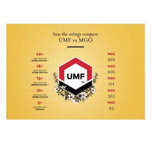 Hot Selling Manuka Honey 100% Natural MGO100+ UMF5+ Natural Bee Honey from New Zealand