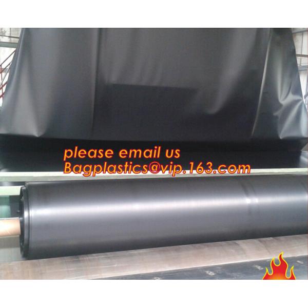 Eco-Friendly Hdpe Geomembrane Liner Geomembrane Price,Eco-Friendly Hdpe Geomembrane Liner Waterproofing Membranes BAGEAS
