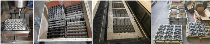 Automatic Paper Egg Tray Forming Machine Customized