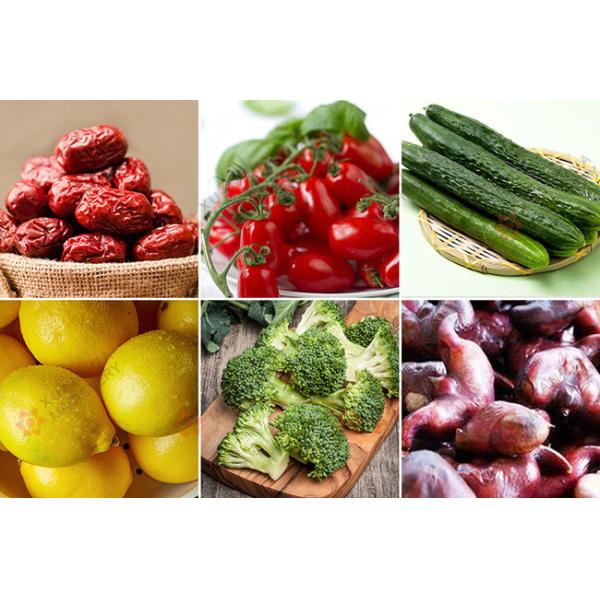 Industrial Vegetable Processor Machine , Fruit And Vegetable Washer Machine