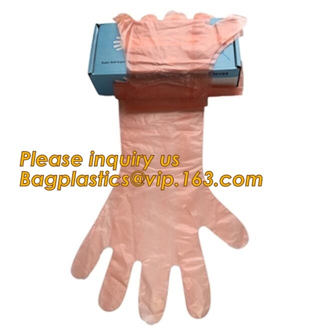 Biodegradable PE gloves Medical PE gloves disposable PE glove,Eco Friendly Disposable Transparent Home Use Pe Gloves