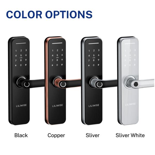 OEM Remote Control Smart Lock Home Security Fingerprint Biometric Door Lock