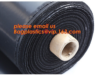 HOTICULTURAL MULCH FILM,AGRICULTURAL PE FILM,MARKET GARDENERS CLOCHE FILM,PE FILM FOR CORN,PLASTIC FILM COVER,TOMATO COV