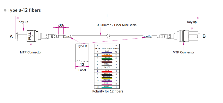 MPO-MPO Female 12 Fibers Low Loss 0.35dB Type A B Plenum (OFNP) OS2 9/125 Single Mode Trunk Cable, Yellow
