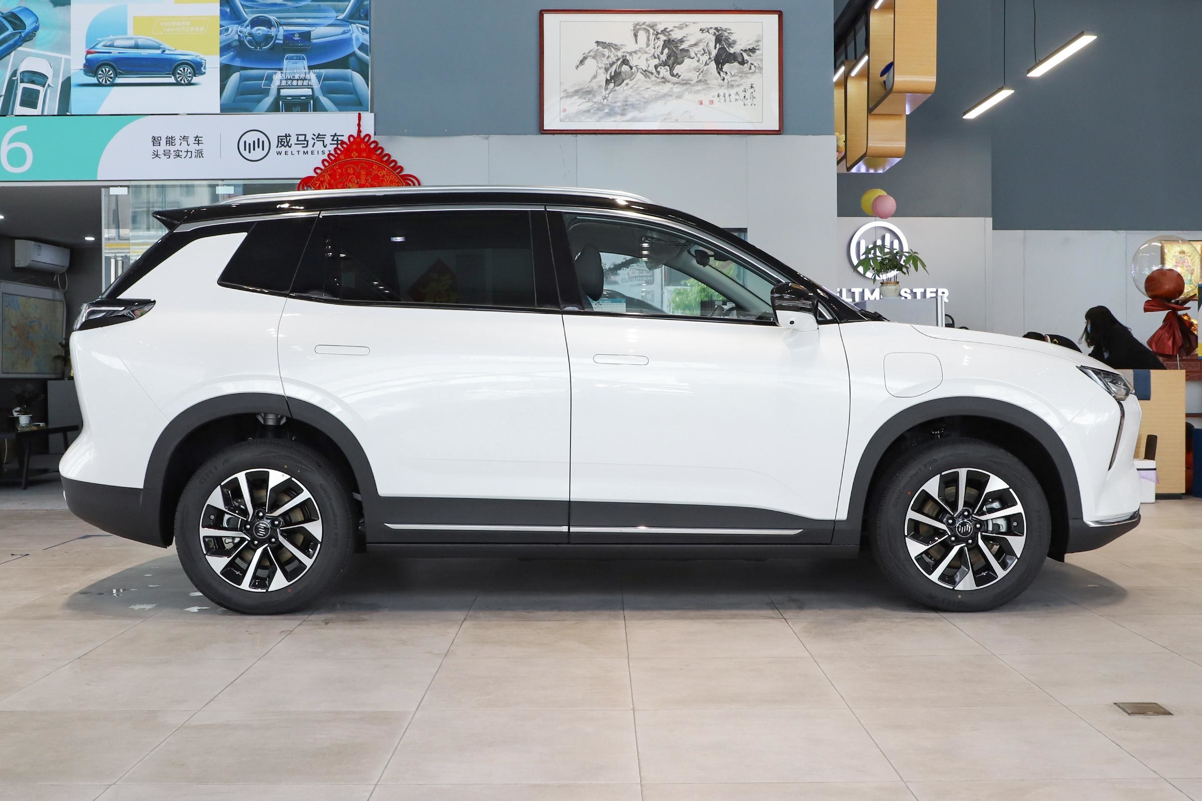 Single Speed Transmission Full Electric SUVs Weima W6 Medium SUV