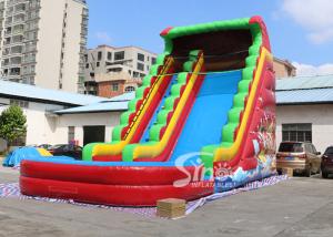 8 meters high custom design inflatable pirate water slide with digital printing from China factory