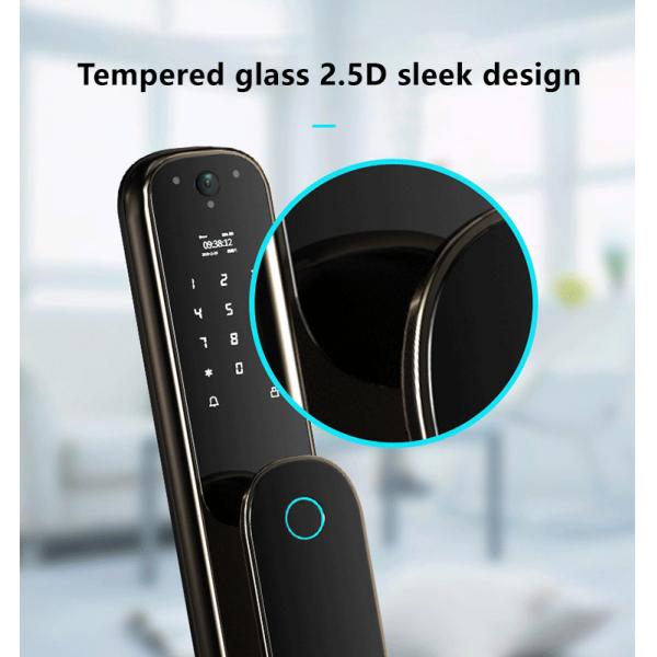 Face Recognition Fingerprint Door Lock Gold Biometric Gate Lock