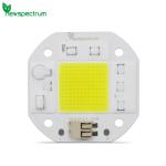 High Lumen Output 50W LED Chip
