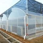 Anti Drip and Anti Fog Greenhouse with Plastic Film Best Choice