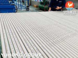 China ASTM A213 TP304, TP304L , TP316L , TP321 , TP310S, TP347H , TP317L ,16 BWG 20FT Heat Exchanger Tube wholesale