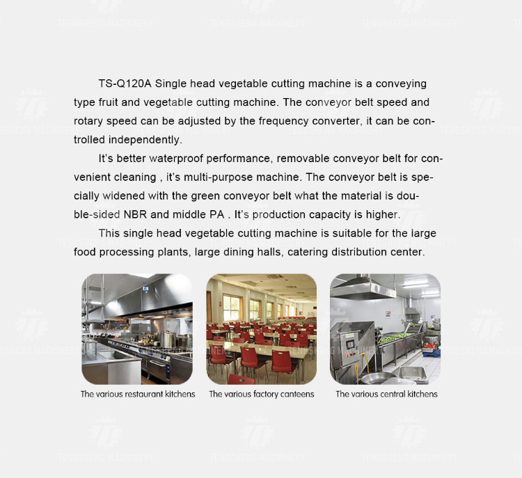 180KG Vegetable and melon slicing and slicing machine One machine multi-purpose automatic chopping machine