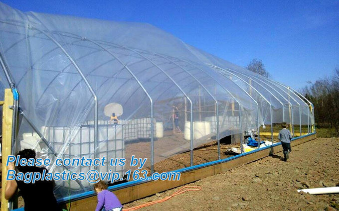 HOTICULTURAL MULCH FILM,AGRICULTURAL PE FILM,MARKET GARDENERS CLOCHE FILM,PE FILM FOR CORN,PLASTIC FILM COVER,TOMATO COV