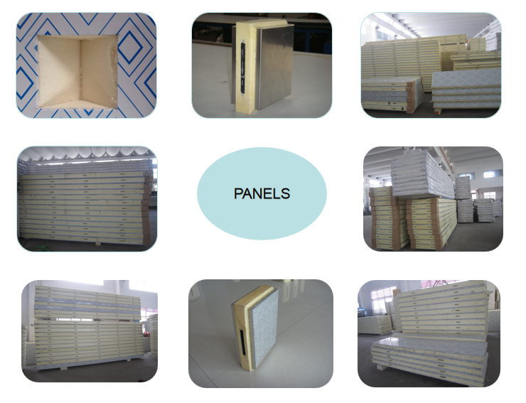 walk in freezer storage cold storage refrigeration blast freezer for fish
