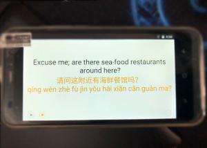 China Simultaneous Offline Language Translator Black Color With Grammar Correction wholesale