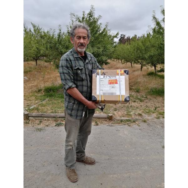 PQWT-S500 Portable Underground Water Detector Machine Automatic Mapping 500m Depth