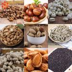 Full Automatic Cashew Roasting Machine / Electric Roasting Machine Stable