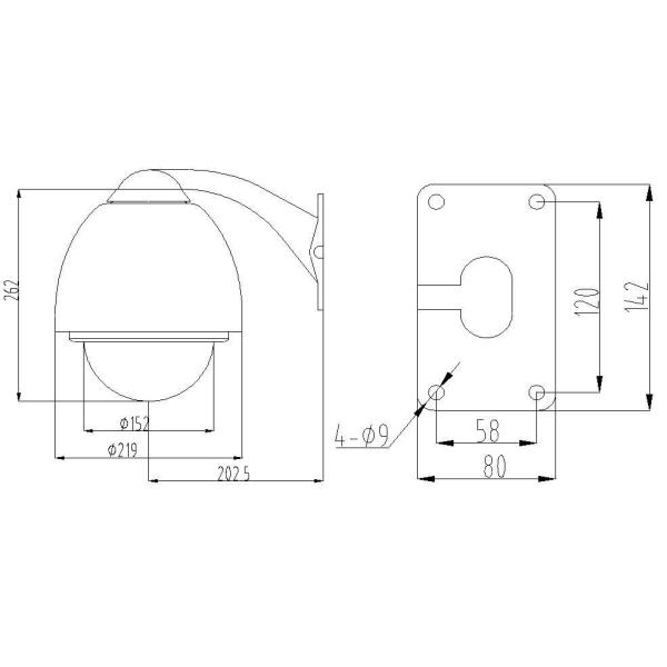 Waterproof Network IP66 30x Optical Zoom Ir Speed Dome Camera