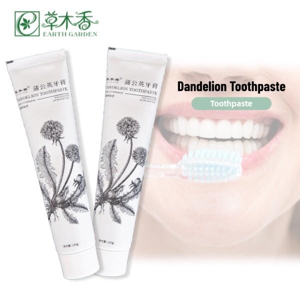 Quality Dandelion Herbal Toothpaste Relieve Tooth Sensitivity Botanical Toothpaste for sale