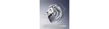 China Hubei Lion King Vacuum Technology Co., Ltd. logo