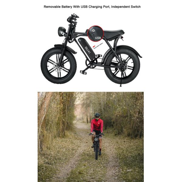 Full Suspension Rear Hub Motor Electric Bike With 48v 1000w Power And REMOVABLE BATTERY
