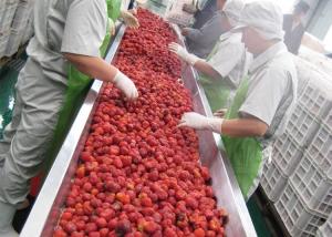 China 380V Berry Fruit Jam Processing Machinery 20T/H ISO9001 Certificate wholesale