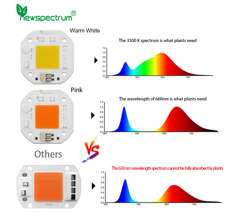 High Lumen Output 50W LED Chip