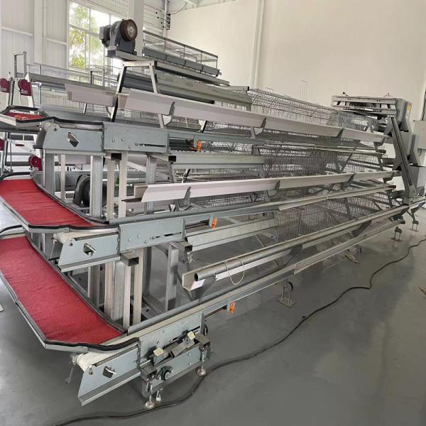 Quality 3 Tiers A Type Hot Dipped Battery Chicken Layer Cages Automatic Feeding System for sale