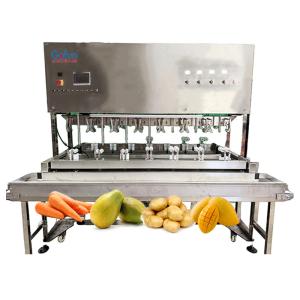China Mitsubishi PLC Apple Automatic Peeling Machine For Fruits And Vegetables Processing Lines SUS304 wholesale