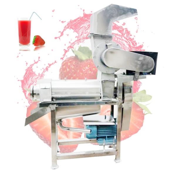 Low Consumption Vegetable Fruit Juice Making Machine Spiral Juicer Tomato Extractor