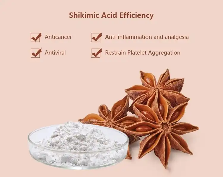 Star Anise Extract Benefits Star anise extract 98% Shikimic Acid