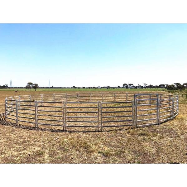 Oval Bars Livestock Lightweight CE Heavy Duty Cattle Panel 1.6x2.1m 1.8x2.1m