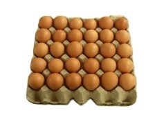 Semi Automatic Paper Egg Tray Machine Simple Structure 1*4 Molds 1500pcs/h Low-Cost Eco-Friendly For Small Business