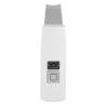 Buy cheap 100 V - 240 V Home Facial Device , BF1203 Good Ultrasound Skin Scrubber from wholesalers