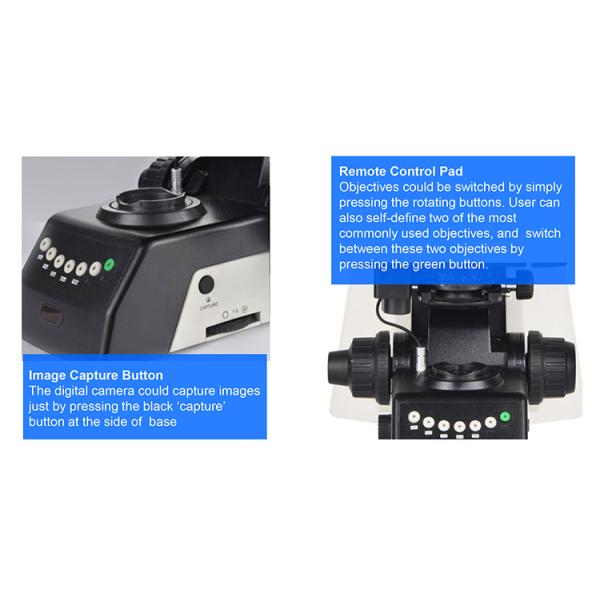 Led Semi Auto Trinocular Stereo Microscope For Research Scientific Laboratory A12.1093-L