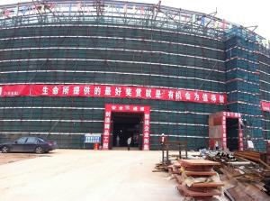 High Rise Building Structures , Building House With Steel Frame
