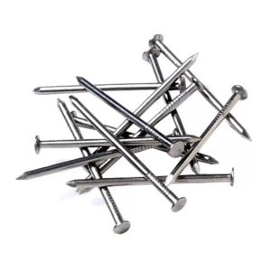 Common Wire Nails