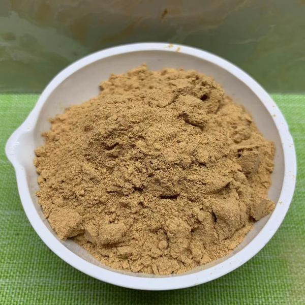 Quality HUGE ACTIVE DRY YEAST Highly Active Saccharomyces Cerevisiae Feed Additives for sale