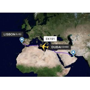 China Experienced Air Freight Logistics Companies China - Lisbon Portugal Airlines wholesale