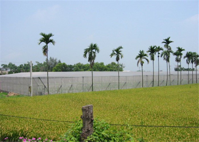 100% HDPE materialanti hail screen mesh 25mesh - 80 mesh UV stabilized insect netting greenhouse insect proof net