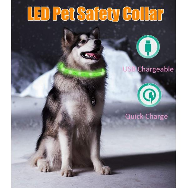 Eye Catching LED Dog Collar USB Rechargeable Personalized Cartoon Cute