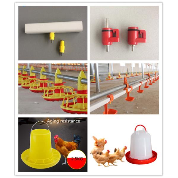 1.5L Poultry Bucket Drinker For Baby Chicken Broiler Layer Breeder