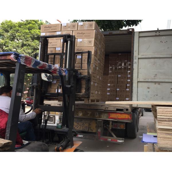 Waterproof 260gsm Pigment Ink Glossy RC Photo Paper