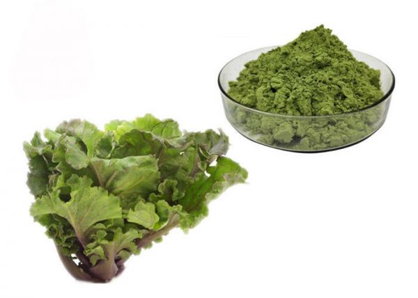 Quality Juice Kale Extract Powder for sale