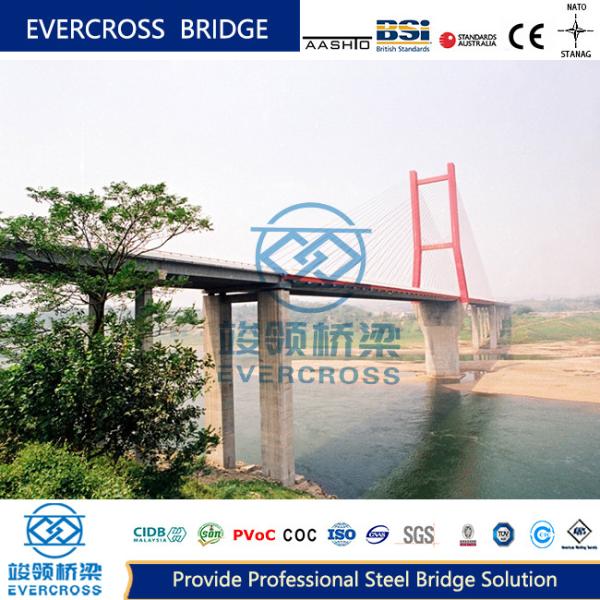 Quality Diagonal Pedestrian Cable Stayed Bridge Large Span Composite Steel Bridge for sale