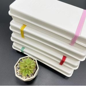 Recycled Paper Box Molded Pulp White Box Packaging Wet Press