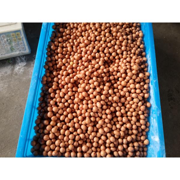 Swing 3kw 120kg/H Nut Roasting Machine One Year Warrenty