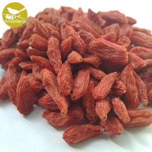 China Organic dried goji dried organic goji berry dried goji with new crop in new crop from China wholesale