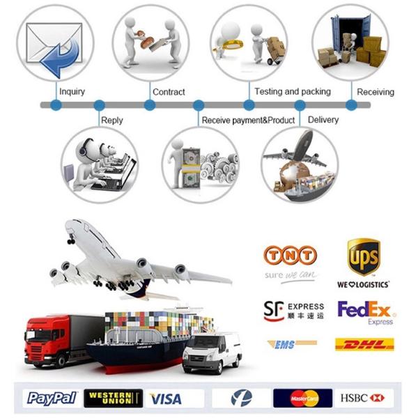 Six Bolt Disc Brake Bicycle Hubs 28 Holes 690 Ring Freehub Sealed Bearings Bicycle Front Wheel Hub