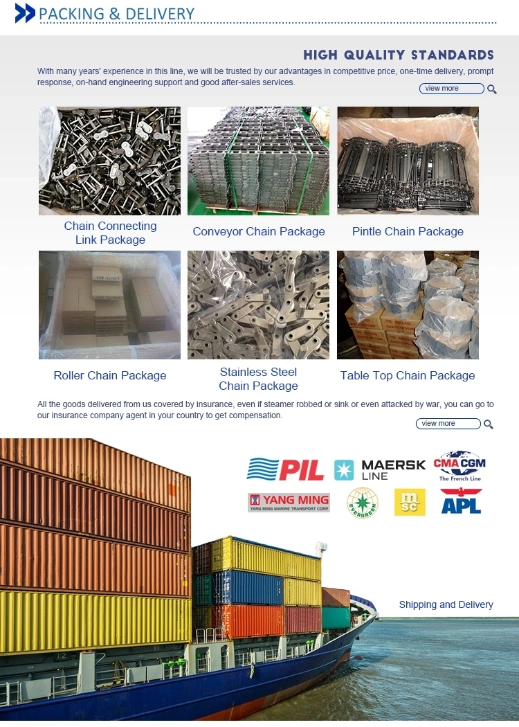 High Quality Roller Chains API Approved Multiple Strands Oil Field Chain for Petroleum Equipment